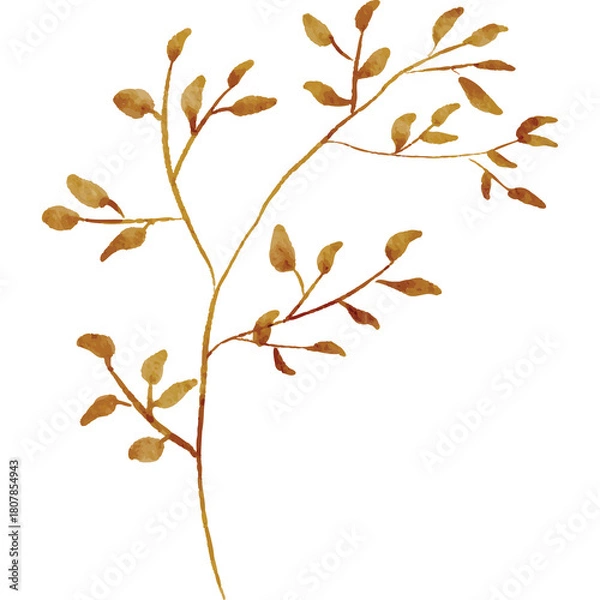 Fototapeta Golden Brown Twig with Small Leaves on Transparent Background Delicate Botanical Element Autumnal Aesthetic