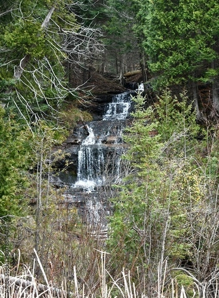 Obraz waterfall in the forest