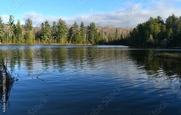 Obraz lake in the forest
