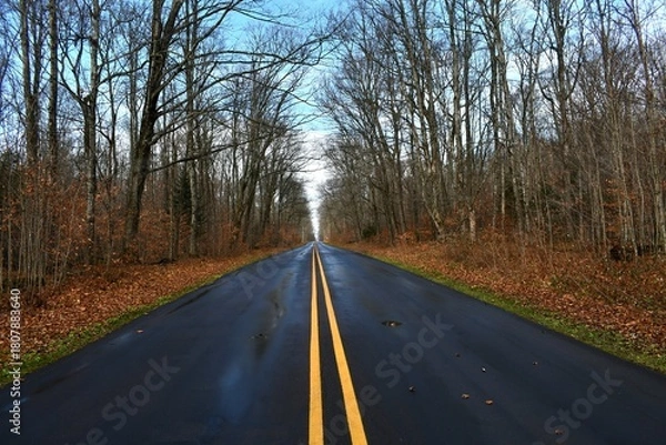 Obraz road in autumn
