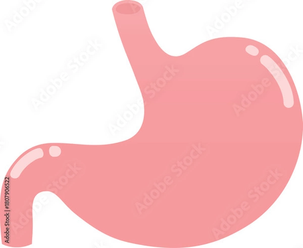 Obraz 健康的な胃