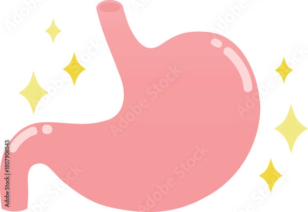 Obraz キラキラしている健康的な胃