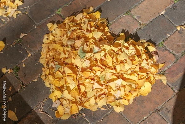 Fototapeta 落ち葉のハート