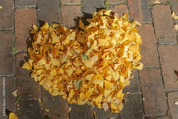 Fototapeta イチョウの落ち葉のハート