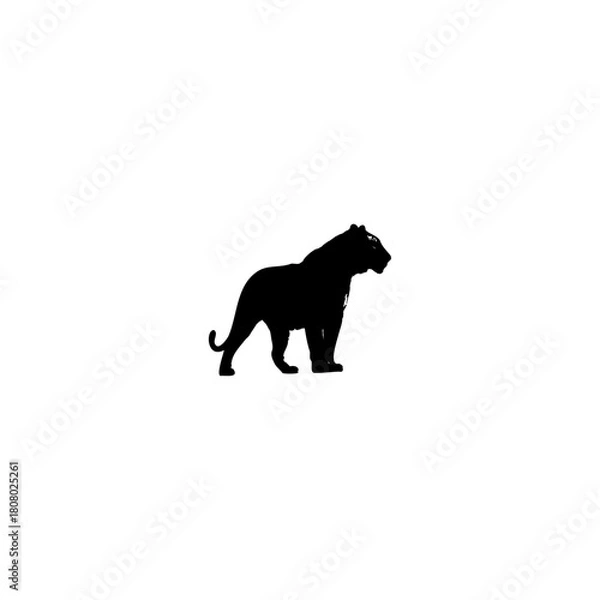 Fototapeta A silhouette of a lion standing on a white background with its tail slightly raised and head turned right