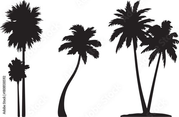 Fototapeta Palm tree silhouettes vector pack