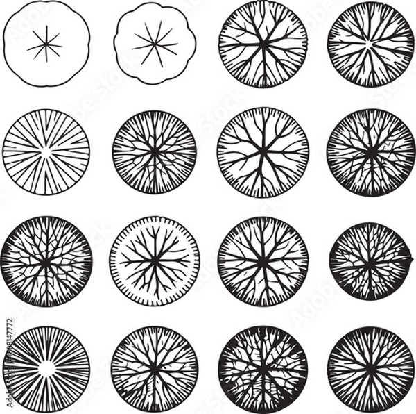 Fototapeta Tree top view architectural symbols