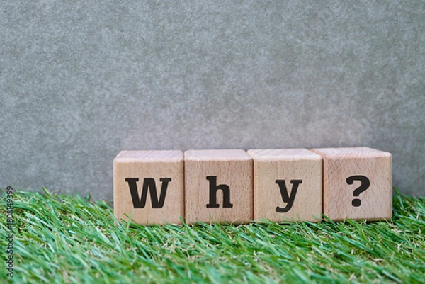 Fototapeta 芝生の上のWhyブロックとコピースペース。問題提起イメージ。
