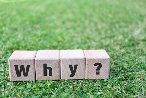 Obraz 芝生の上のWhyブロックとコピースペース。問題提起イメージ。