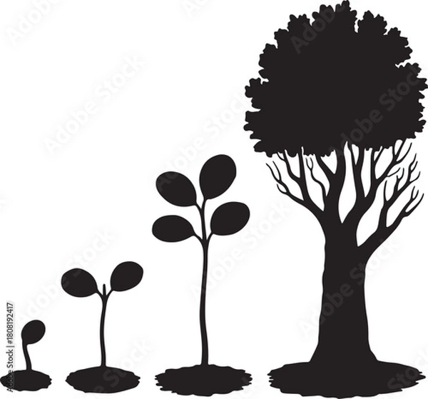 Obraz Plant growth cycle illustration: seedling, sprout, sapling, tree.