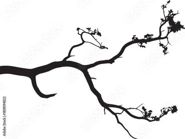 Obraz Organic tree branch silhouette, nature vector graphic element