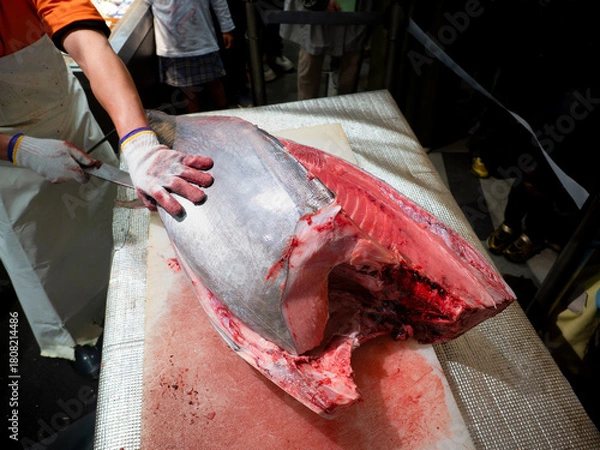 Fototapeta 本マグロの解体ショー