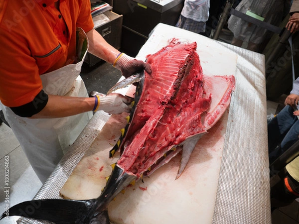Fototapeta 本マグロの解体ショー