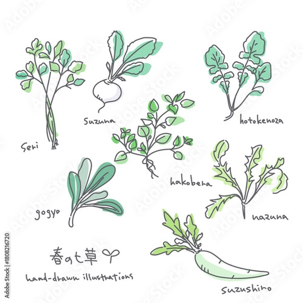 Obraz Spring Seven Herbs Illustration Set: Simple and stylish line drawings