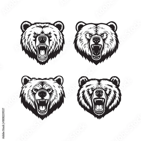 Fototapeta BLACK AND WHITE VECTOR GRAPHICS OF AN ANGRY BEAR HEAD DESIGN