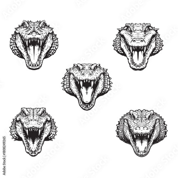 Fototapeta BLACK AND WHITE VECTOR GRAPHICS OF AN ANGRY ALLIGATOR HEAD DESIGN