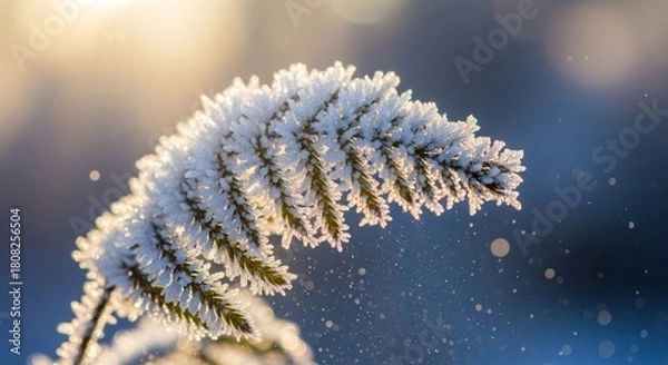 Fototapeta frost on the branches with snow with reflection of day light blur background 