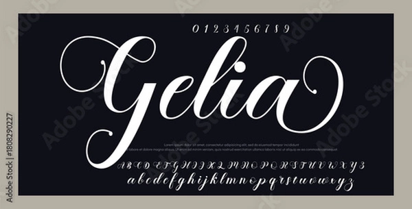 Obraz signature logo vector design 