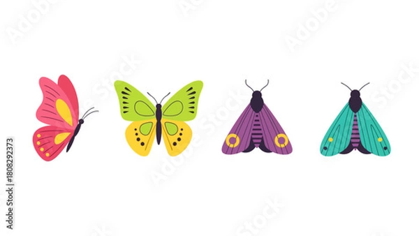 Fototapeta Collection of four stylized butterflies and moths in various vibrant colors and patterns