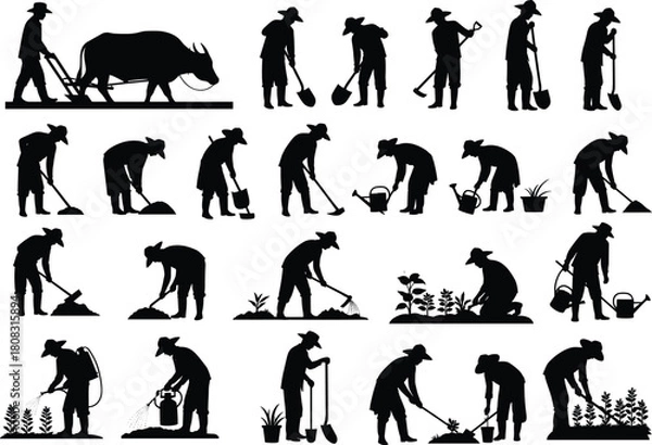 Obraz Set of farmer silhouettes working in field, man plowing with buffalo, gardening and planting, isolated black vector illustration for agriculture design.