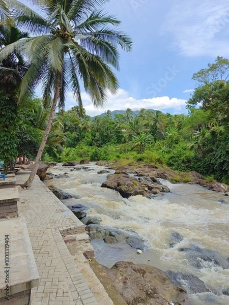 Fototapeta Hidden Waterfall in Green Forest