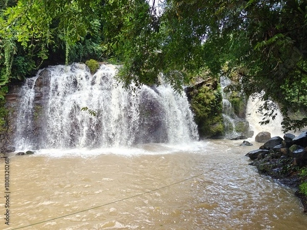 Fototapeta Hidden Waterfall in Green Forest