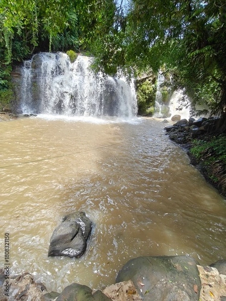 Fototapeta Hidden Waterfall in Green Forest