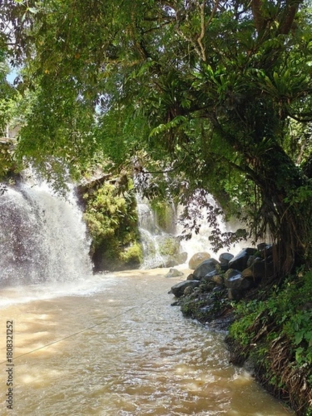 Fototapeta Hidden Waterfall in Green Forest