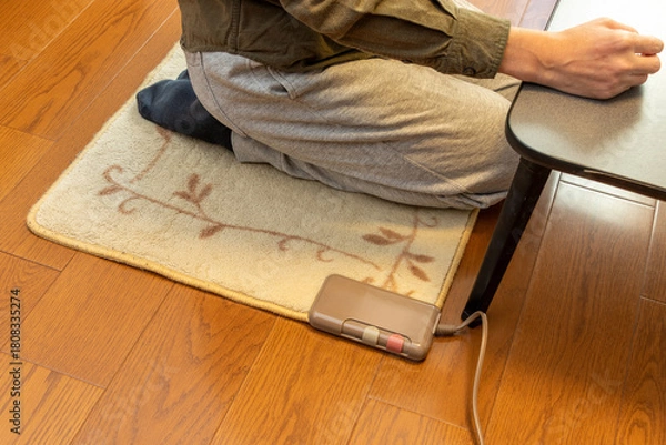 Obraz 電気カーペットの上に正座で座る人物