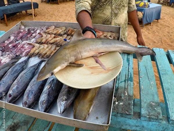 Fototapeta Shark for dinner