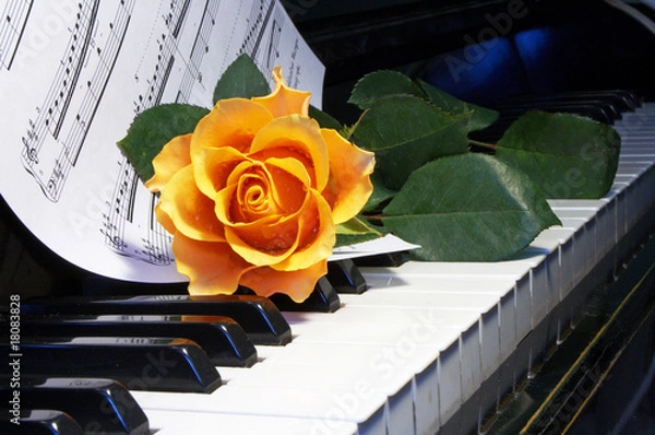 Obraz rose on  musical note