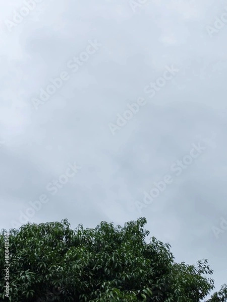 Obraz Cloudy Sky and Nature Trees Collection