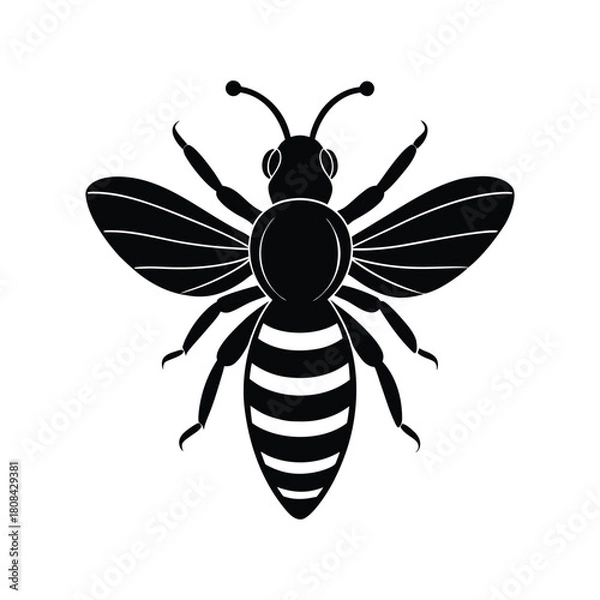 Fototapeta Black bee silhouette icon with striped body and delicate wings. isolated on white background