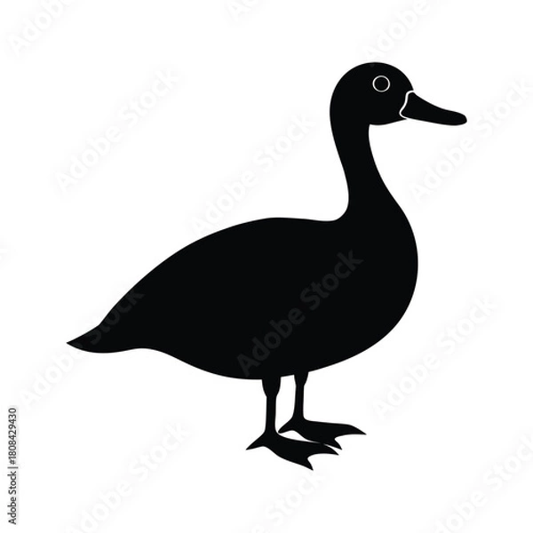 Fototapeta Black duck silhouette isolated illustration simple vector art isolated on white background