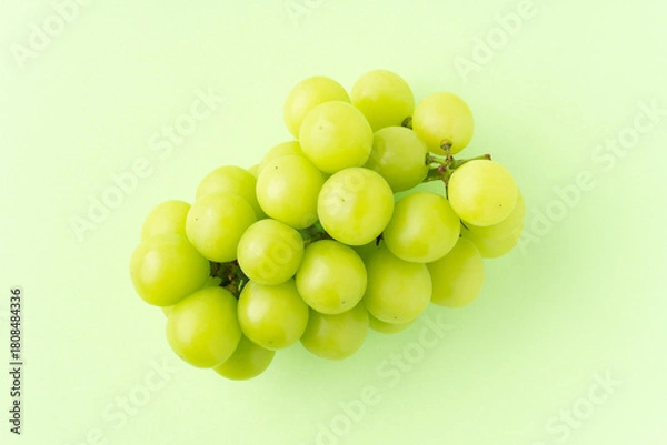 Obraz グリーン背景に1房のシャインマスカット