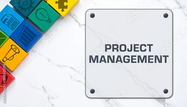 Fototapeta Project Management Business Symbols Colorful Cubes Marble Text 