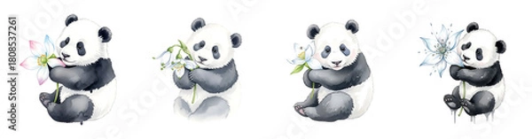Obraz Four watercolor illustrations of cute baby pandas holding various flowers perfect for isolate transparent background