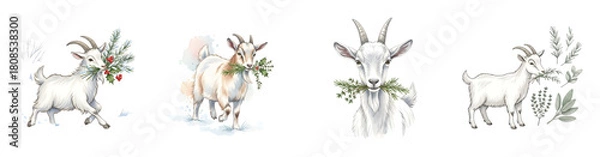 Obraz Four detailed watercolor illustrations of white goats holding foliage in their mouths isolated transparent background