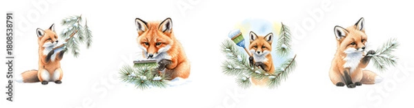 Obraz Four charming foxes in winter settings with pine branches and snow isolate