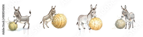 Obraz Four adorable donkeys interacting with balls of hay and twine isolated on