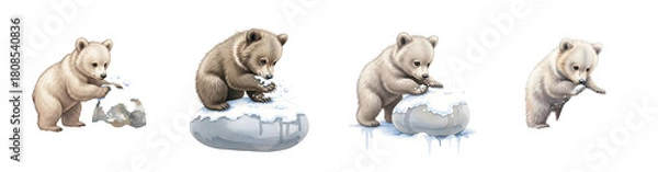 Obraz Four bear cubs playing with snow and ice fragments in winter setting animal transparent background