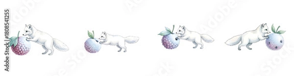 Obraz Four Arctic Foxes Interacting With Frosted Berries On A Transparent Background Isolate