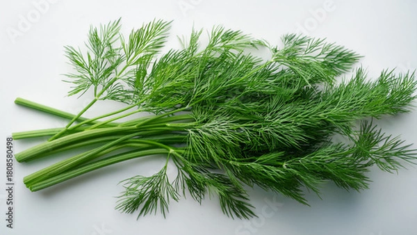 Fototapeta Fresh dill leaves arranged softly on a clean white surface
