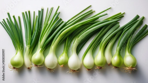 Fototapeta A small bunch of fresh scallions arranged neatly on white