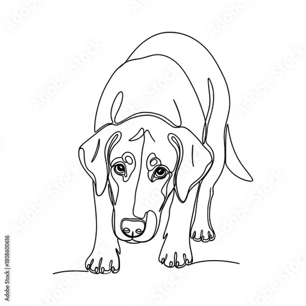 Obraz Minimalist single line drawing of a playful dog in a crouch