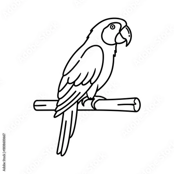 Obraz Simple line art drawing of a parrot perched on a branch