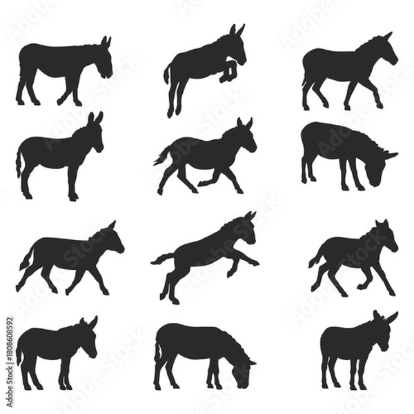 Obraz A Set of Hand Drawn Donkey Silhouette design