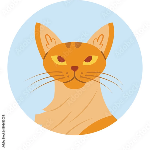 Fototapeta Portrait of an orange cat with yellow eyes and pointed ears against a light blue circular background simple illustration Amber 16-13
