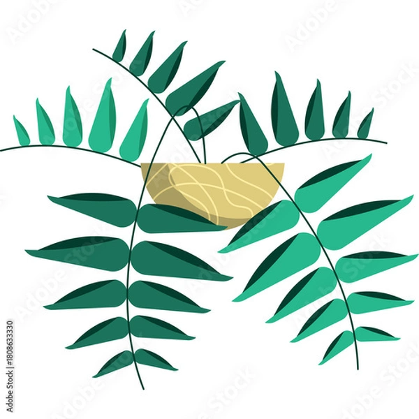 Fototapeta Potted Plant With Green Fern Fronds On Transparent Background Minimalist Graphic Design Botanical Element