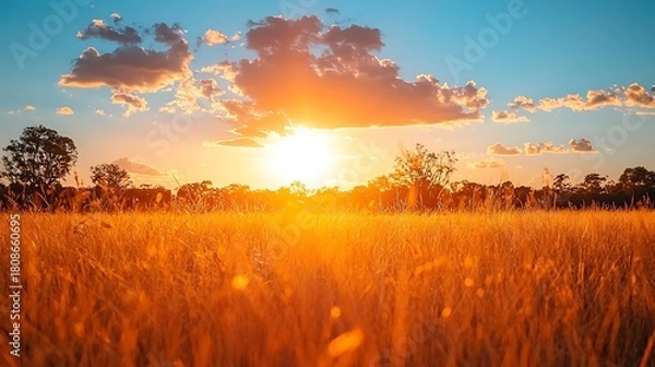 Fototapeta Golden sunset over dry savanna field with serene landscape nature, and dramatic sky clouds.
